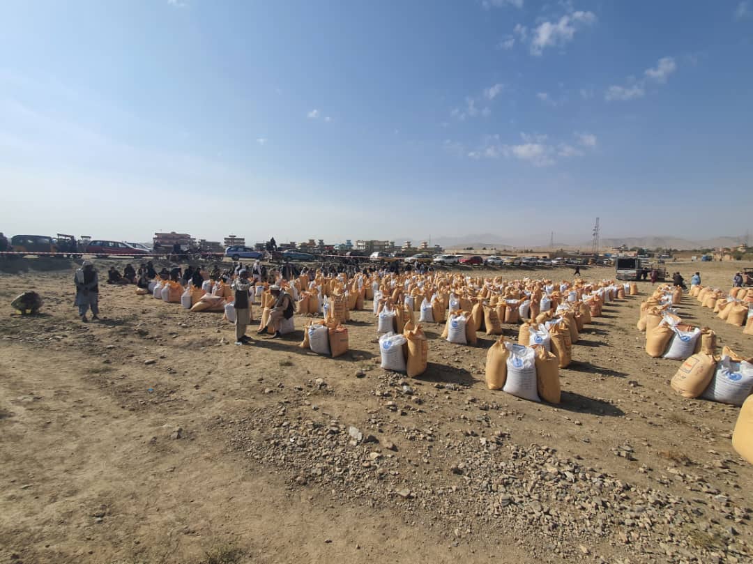 د کابل چهار آسیاب  کې پر ۷۰۰ بزګرانو د غنمو اصلاح شویو تخمونو او کیمیاوي سرو  وېش لړۍ پیل شو