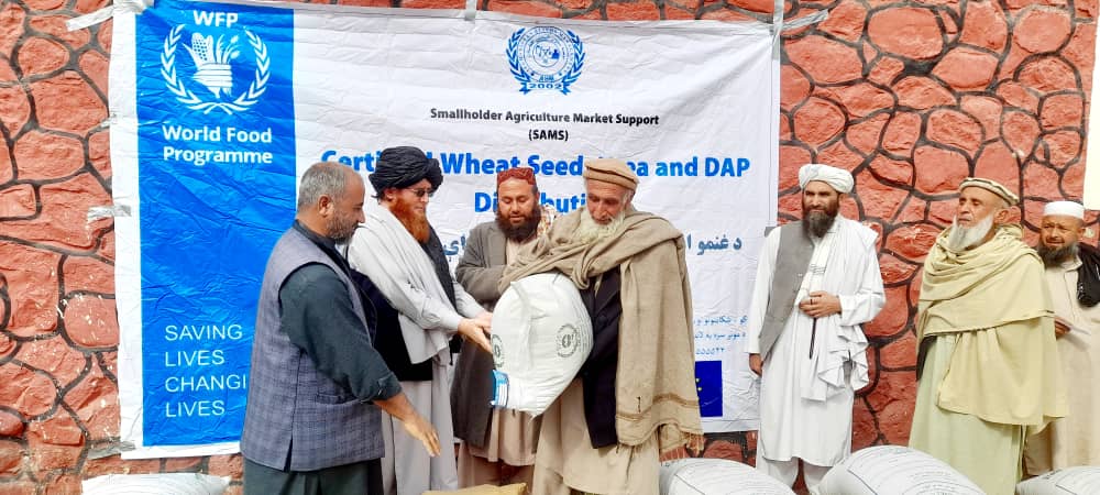 د لغمان دوو ولسوالیو  کې پر ۲۹۰ بزګرانو د غنمو اصلاح شویو تخمونه او کیمیاوي سرې ووېشل شوې