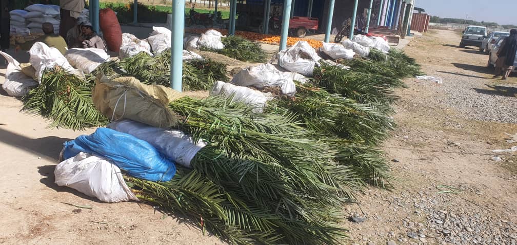 هلمند کې د دوو کرنیزو پروژو چارې پیل شوې