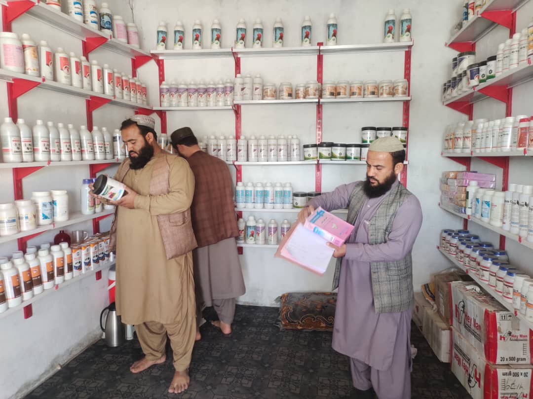 هلمند کي دغوښینو چرګانو د درمل پلورونکو او شرکتونو څخه څارنه وشوه