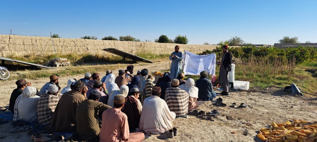 د هلمند ګرمسیر کې لسګونه بزګران روزل کېږي