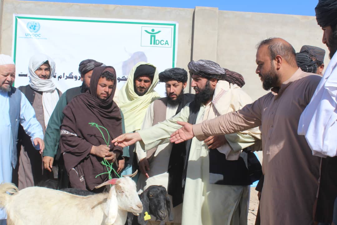 کندهار کې لسګونو بې وزله، یتیمو او کونډو کورنیو سره مرسته وشوه