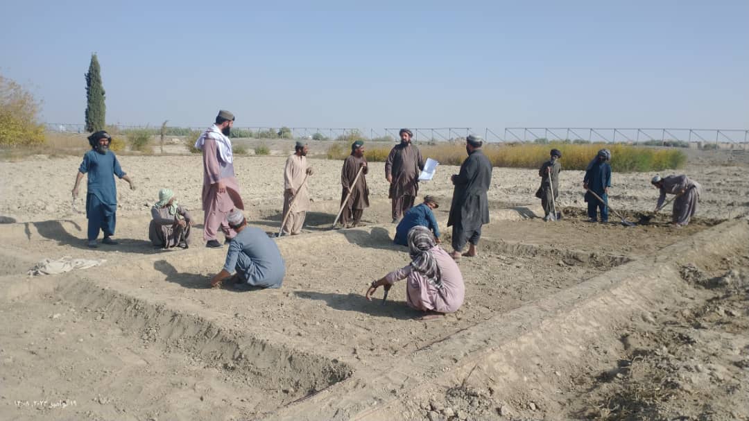 هلمند کې د انجې ترویج په پار هڅې