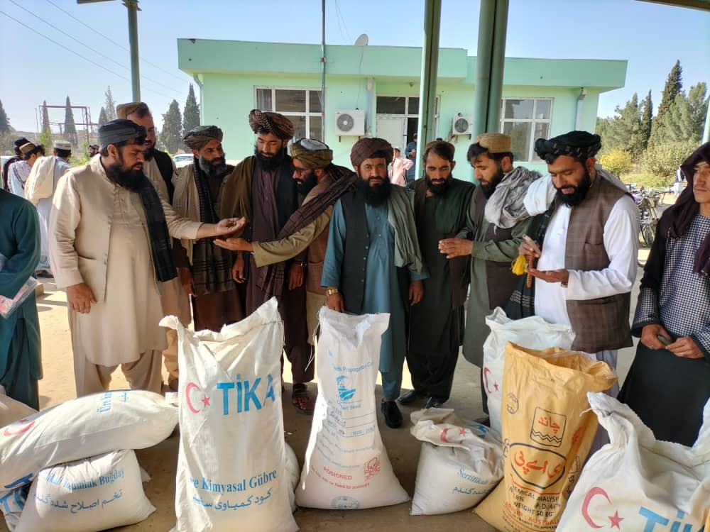 هلمند کې د اصلاح شویو غنمو ننداریزې کروندې جوړېږي