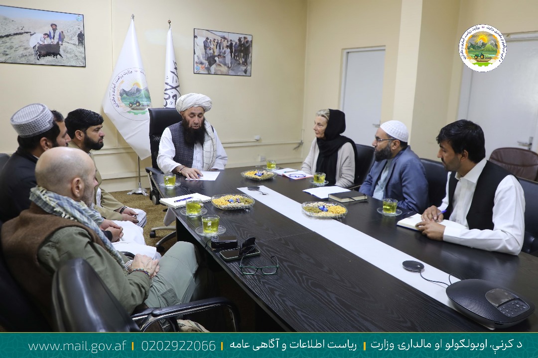 دیدار معین زراعت و مالداری وزارت زراعت با مسوولان موسسه ایتالیایی