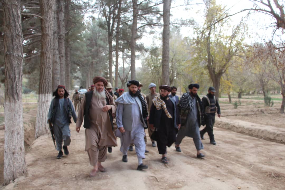 والی جوزجان از فارم تحقیقاتی جنگل باغ دیدن نمود