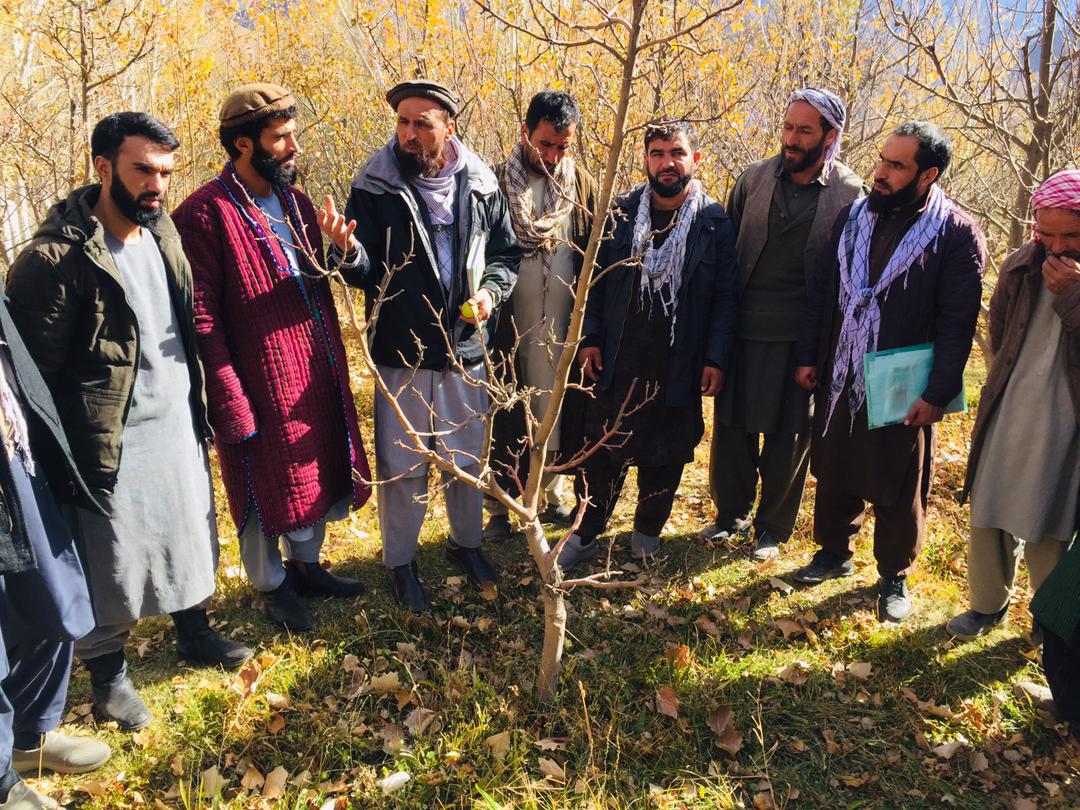 نظارت از جریان کمپاین مجادله میخانیکی مور پتدار در ولسوالی حصه اول پنجشیر