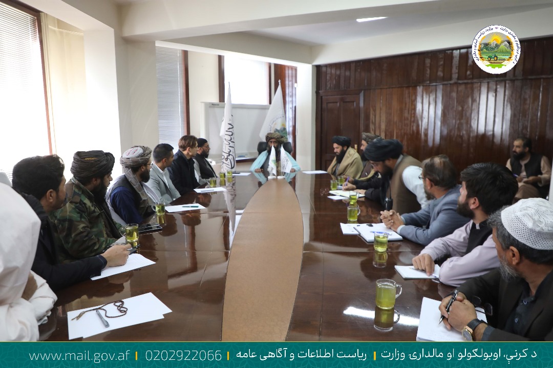 دیدار معین آبیاری و منابع طبیعی وزارت زراعت با یک سرمایهگذار روسی