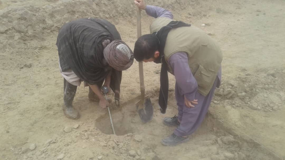 ۲۵ هکتار باغ پسته در ولسوالی بالامرغاب ولایت بادغیس احداث میشود