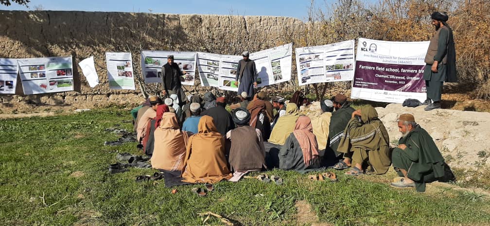 اروزګان کې یوشمېر بزګران روزل کېږي