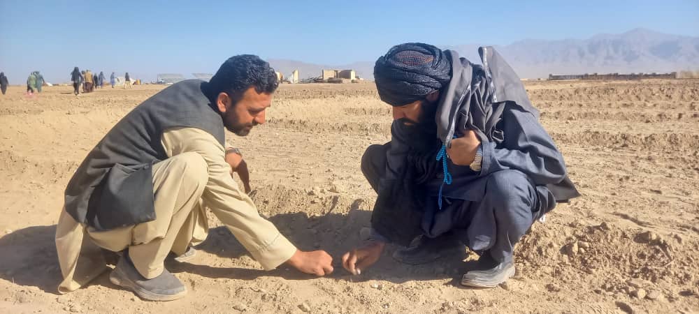 د پکتیا دکرنې رییس د نیکنام فارم څخه لیدنه وکړه