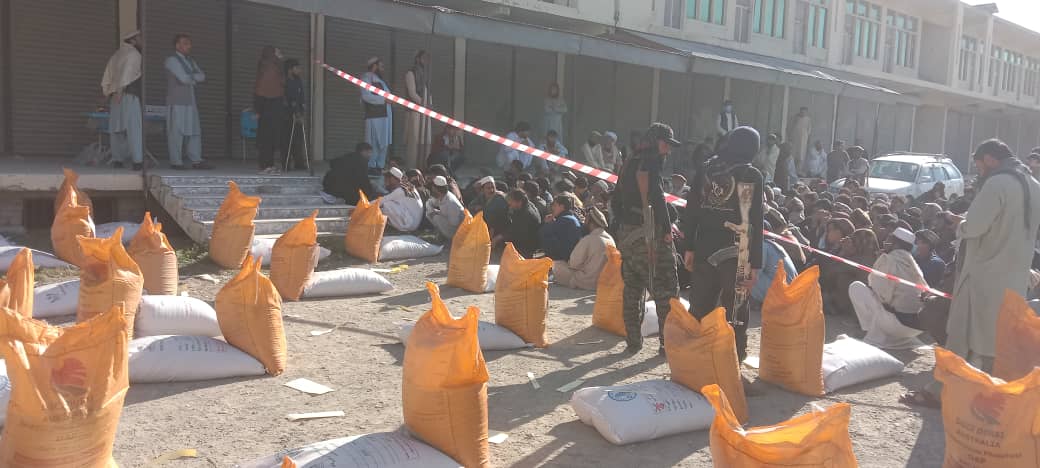 د خوست موسی خېلو کې پر څه باندې ۵۳۱ بزګرانو د غنمو اصلاح شوی تخم او کیمیاوي سرې وېشل شوي