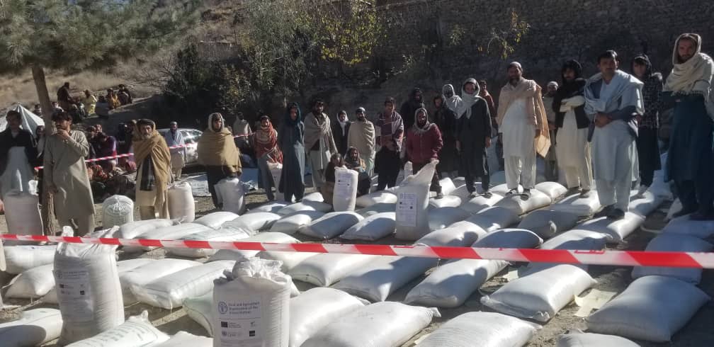 د خوست دکرنې، اوبولګولو او مالدارۍ ریاست چارواکي وایي، چې د افغانستان لپاره د ناروې کمېټې په همکارۍ یې ددې ولایت د سپېرې ولسوالی پر ۴۰۰ مستحقو بزګرانو سپینې سرې وېشلي دي