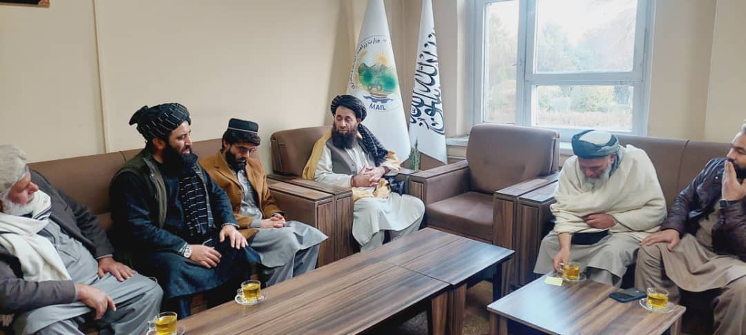 د کرنې او مالدارۍ مرستیال د کرنیزو تخمونو ټولنې له چارواکو سره وکتل 