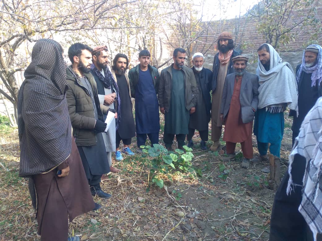کمپاین میخانیکی علیه بیماری مورپتدار در سه ولسوالی ولایت پنجشیر تطبیق شد