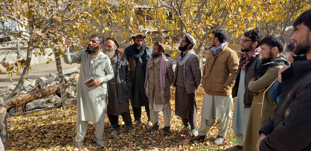 نورستان کې سلګونه بزګران وروزل شول