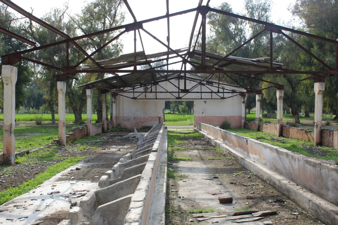 د ننګرهار کانال شرکت د مالدارۍ فارم رغول کېږي