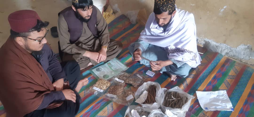 دهلمند نادعلي کې بزګرو ته د انجې د کرکیلې لارې چارې وښودل شوې