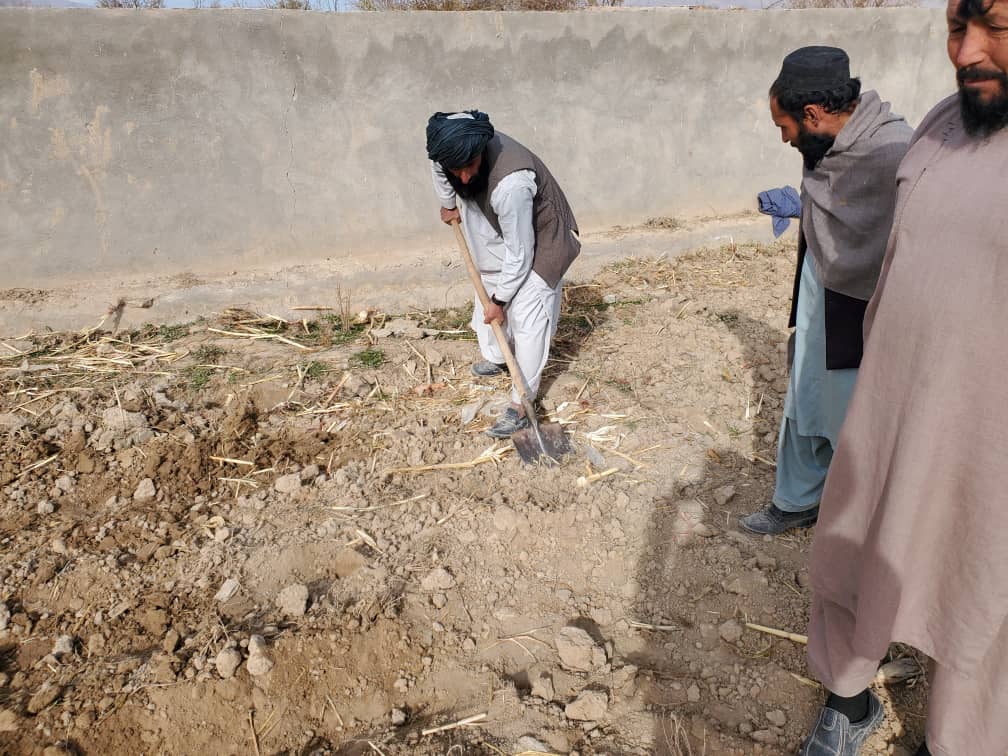 اروزګان کې د انجې کرکیلې ترویج په پار هلې ځلې