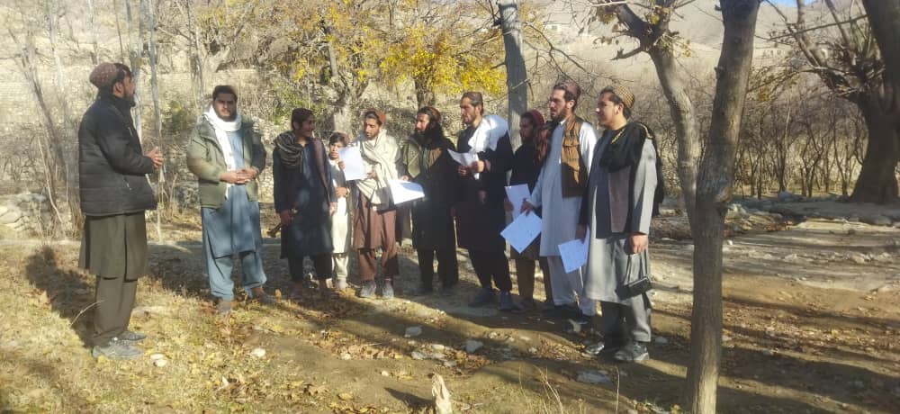 کمپاین مجادله میخانیکی علیه آفت مور پتدار در پروان جریان دارد
