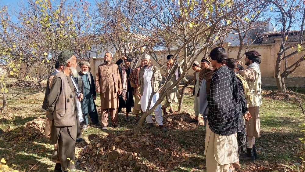 کمپاین مجادله میخانیکی علیه مور پتدار و خیمهساز در ۵ ولسوالی تخار پایان یافت