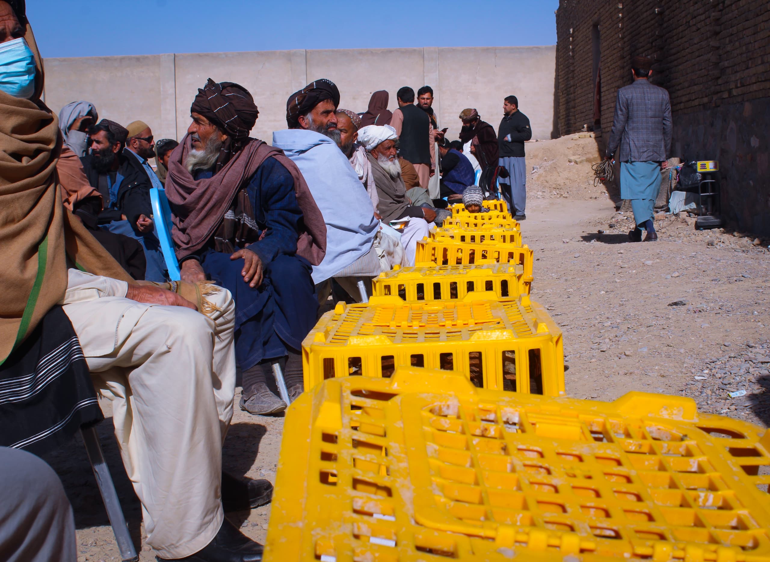 کندهار کې ٥٨٨ اړمنو کورنیو ته د هګیو چرګانو واړه فارمونه جوړ شول