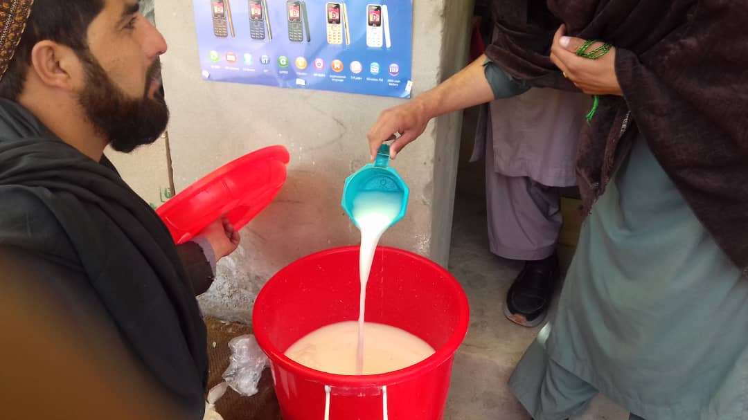 اروزګان کې د لبنیاتو له پلورنځیو څارنه وشوه 