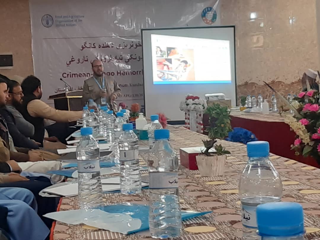 ورکشاپ آموزشی در مورد تب کانگو برای داکتروترنران ساحوی ولایت کندز تدویر گردید