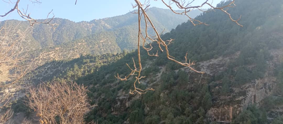 لغمان کې د وحشي ژویو او خوندي شویو سیمو ساتنې په پار هلې ځلې