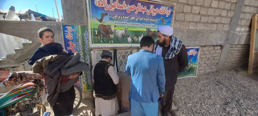 پنج باب کلینیک و ادویه فروشی حیوانی غیر معیاری در ولایت غور بسته شد
