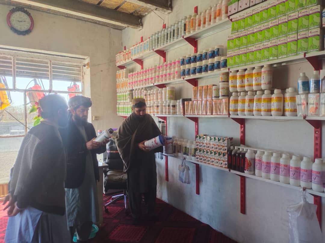 هلمند کې یوشمېر حیواني او نباتي درملتونونه وڅارل شول