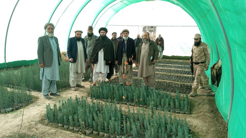 بازدید رئیس عمومی منابع طبیعی از فارمهای اول و دوم ده مرادخان