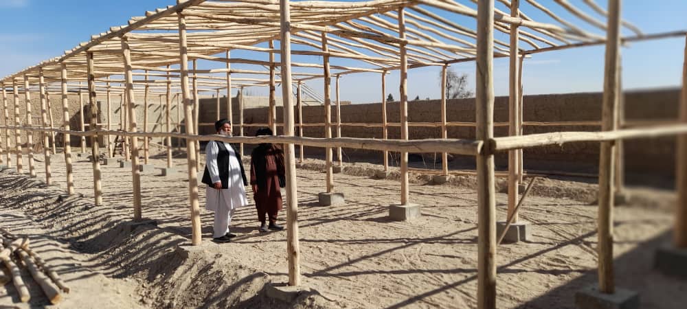 هلمند کې د شنوخونو جوړولو ته د خلکو لېوالتیا ډېره شوې