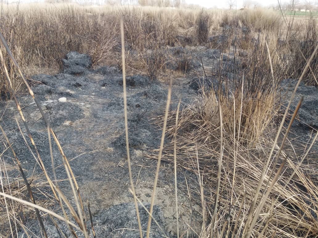 دهلمند دوو ولسوالیو کې د لسګونه جریبه امارتي ځمکې د غصب مخه ونیول شوه