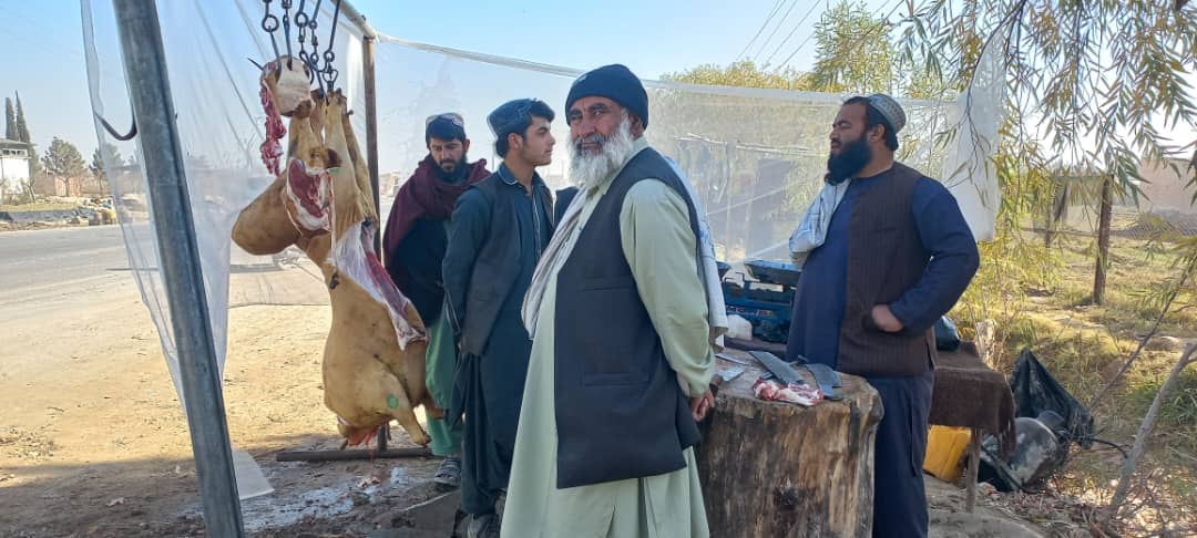 هلمند کې یوشمېر قصابۍ وڅارل شوې