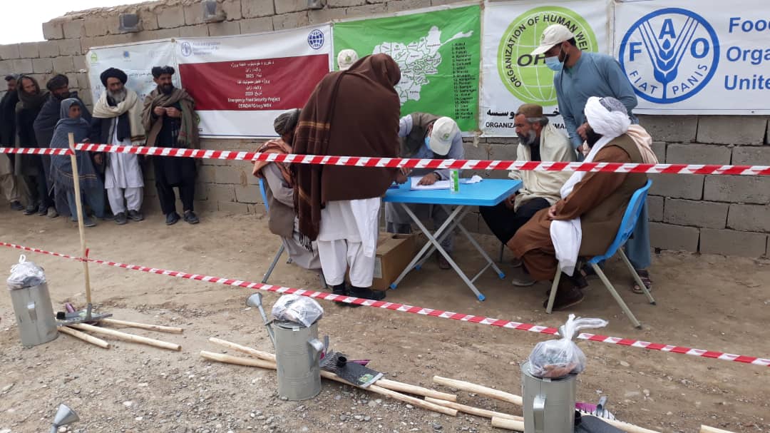 زابل کې پر څه باندې څلور زره کورنیو د کورنیو باغچو اړونده توکي وېشل کېږي