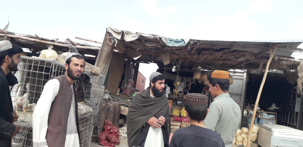 د کندهار ژړۍ کې یوشمېر حیواني او نباتي درمل پلورنځۍ او قصابۍ وڅارل شوې