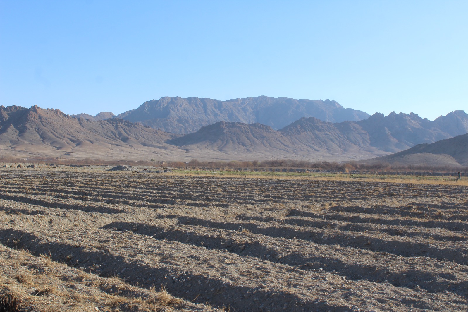 کندهار کې د منګالې فارم رغول کېږي