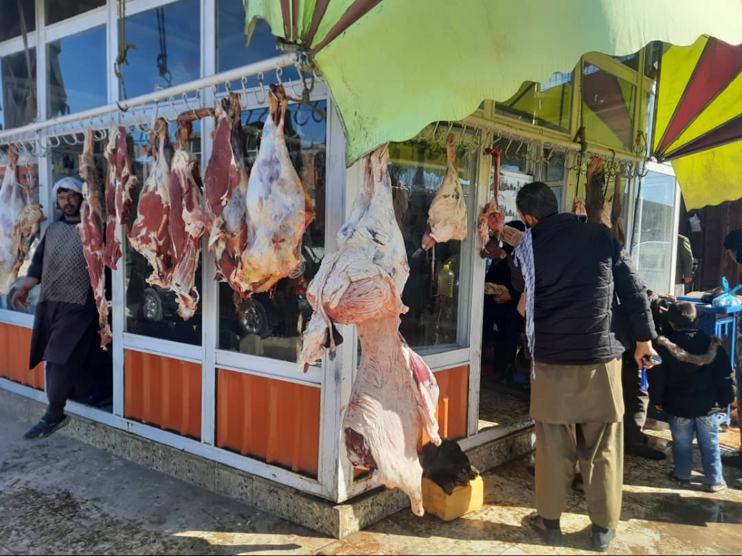 از جریان فعالیت قصابیها در بازار جمالآغه ولایت کاپیسا نظارت صورت گرفت
