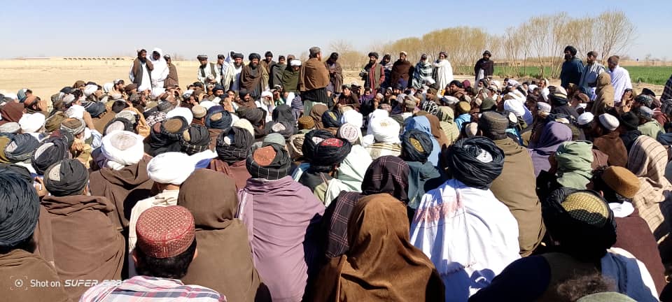 د هلمند نادعلي کې پر نږدې ۸۰۰ بزګرانو د غنمو اصلاح شوي تخمونه او کیمیاوي سرې وېشل کېږي