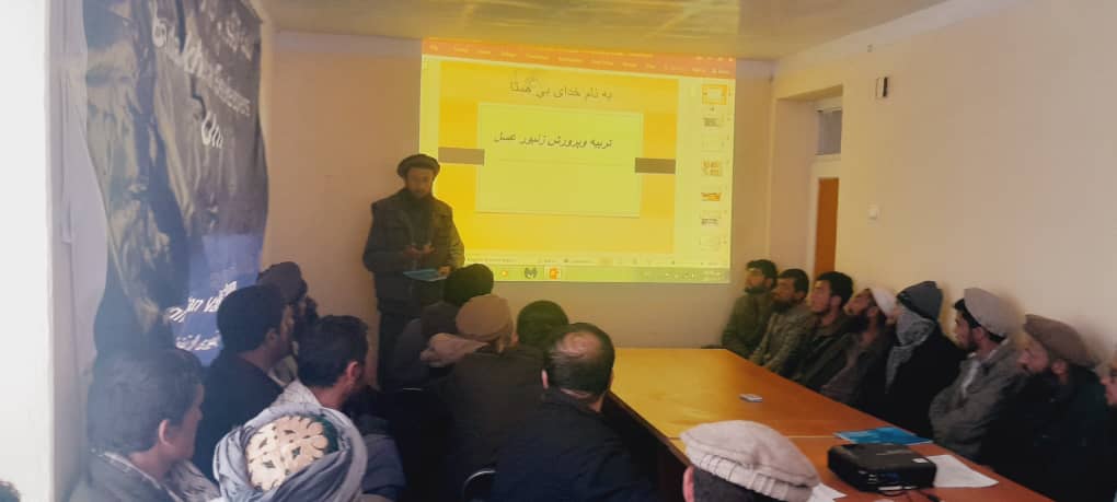 تدویر ورکشاپ پرورش زنبور عسل برای ۲۵۰ نفر زنبور دار در ولایت بدخشان