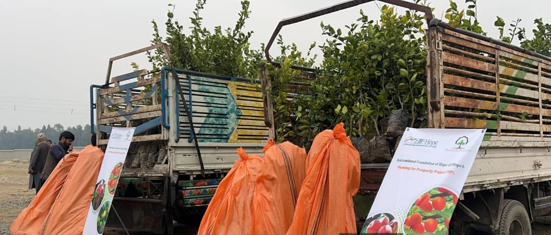 ننګرهار کې د بڼوالۍ پراختیا په پار هڅې؛ ۱۲۵ جریبه بڼونه جوړېږي