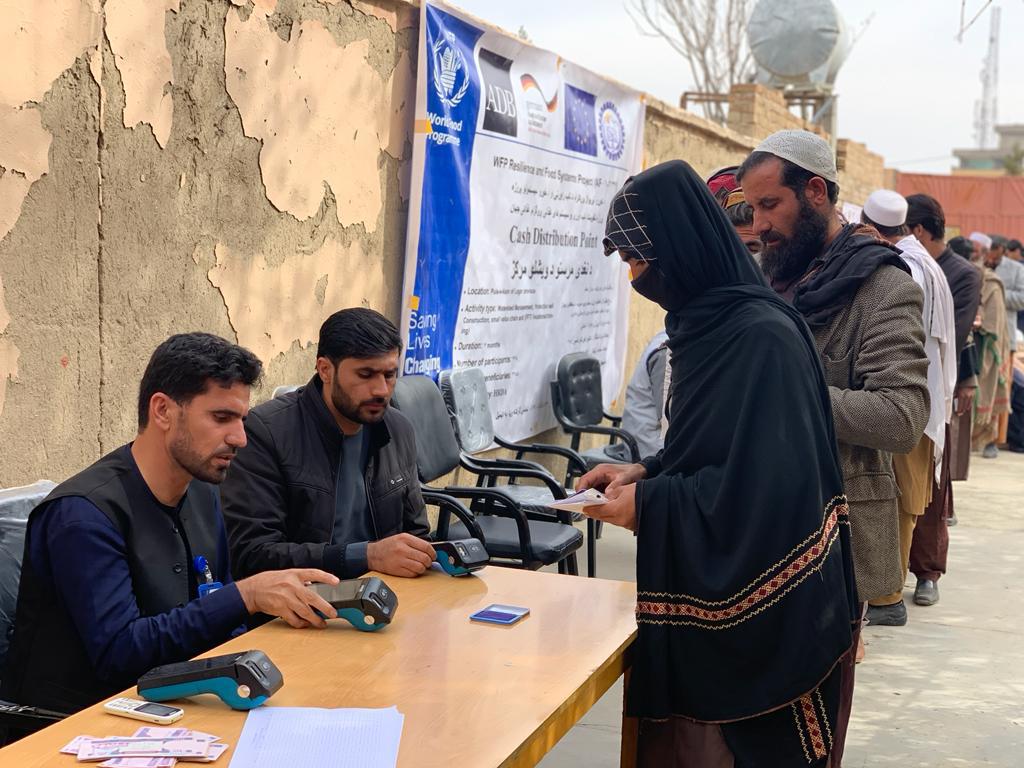 د لوګر دکرنې ریاست: د کرنې او مالدارۍ پروژو کې سلګونو کسانو ته دکار زمینه برابره شوې