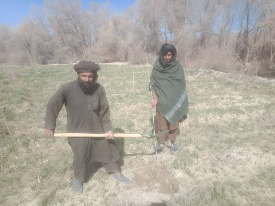 د هلمند د بولان طبیعي ځنګل کې سلګونه زینتي ونې کښېنول شوې