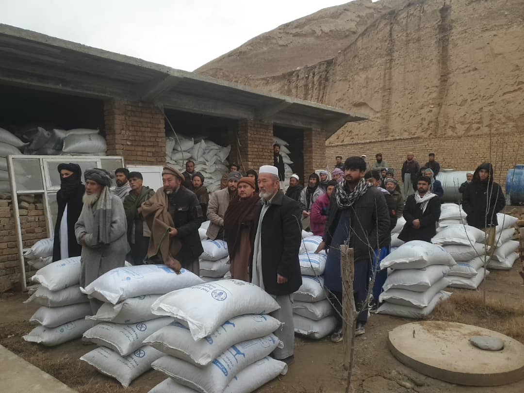 برای ۹۹۳ تَن مالدار در سه ولسوالی ولایت بغلان خوراکه حیوانی و پول نقد توزیع شد