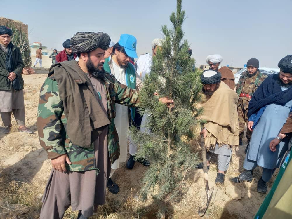 کمپاین نهالشانی در پوهنتون ولایت بلخ با شعار شگوفایی آغاز گردید