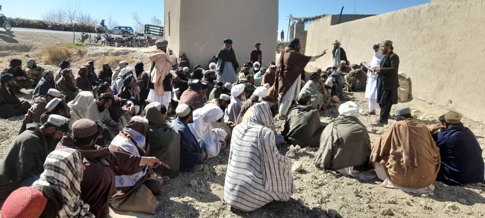 د هلمند ناوه کې یوشمېر بزګرانو سره د اصلاح شویو غنمو تخمونو و کیمیاوي سرو مرسته وشوه