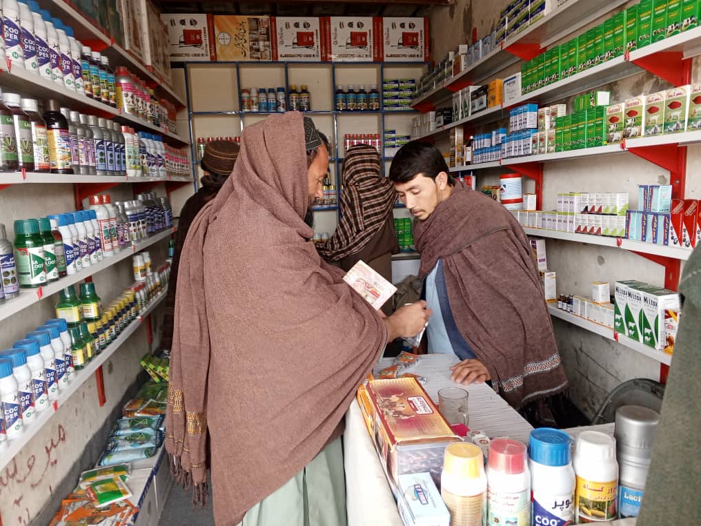 د هلمند ګرشک کې د نباتي او حیواني درمل پلورنځیو څارنه وشوه