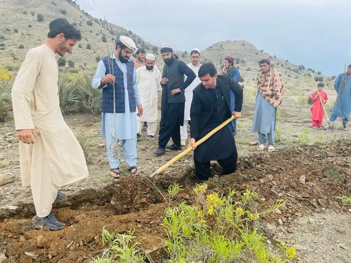 خوست کې د زرغونتیا په پار سلګونه زره نیالګي اېښودل کېږي