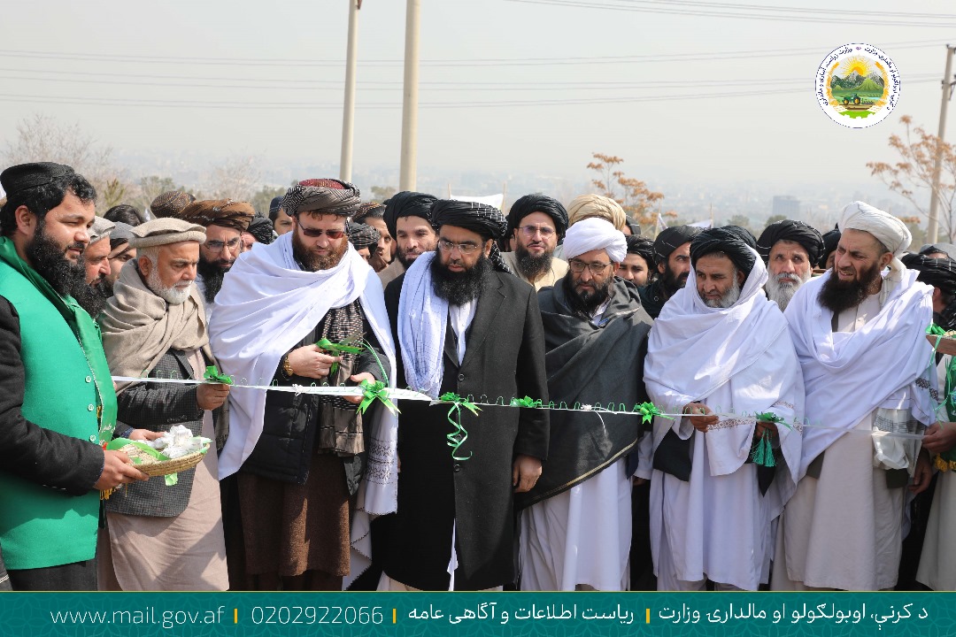 د نیالګي کېښودل وچکالۍ له منځه وړل شعار سره د نيالګيو اېښودلو ملي کمپاين پيل شو
